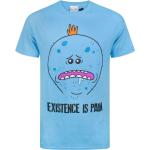 Blaue Kurzärmelige Rick and Morty T-Shirts aus Baumwolle für Herren Größe XXL 