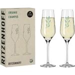 Grüne Mediterrane Ritzenhoff Champagnergläser aus Glas 2-teilig 