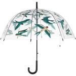Bunte Durchsichtige Regenschirme durchsichtig 