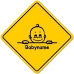 Road Sign Baby Schild mit Saugnapf - Motiv 669