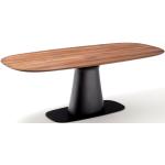 Rolf Benz 8950 Ovale Design Tische aus Massivholz 