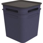 Dunkelblaue Rotho Aufbewahrungsboxen mit Deckel aus Kunststoff mit Deckel 2-teilig 