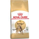 Animal-Print Royal Canin Adult Trockenfutter für Katzen 