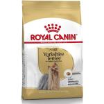 ROYAL CANIN BHN Small Breed Yorkshire Terrier Adult 500g Hundetrockenfutter (1 x 500,00 g)