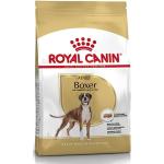 12 kg Royal Canin Adult Trockenfutter für Hunde 