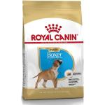 3 kg Royal Canin Breed Trockenfutter für Hunde 
