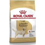 12 kg Royal Canin Breed Hundefutter 