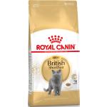 Royal Canin British Shorthair Katzenfutter 