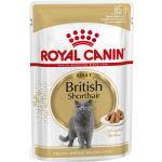 Royal Canin British Shorthair Katzenfutter nass 