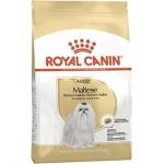 500 g Royal Canin Adult Trockenfutter für Hunde 