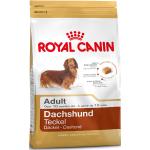 5 kg Royal Canin Adult Trockenfutter für Hunde 