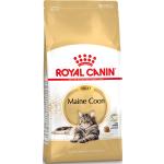 Reduzierte Royal Canin Maine Coon Trockenfutter für Katzen 