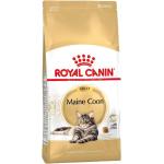 Royal Canin Maine Coon Katzenfutter 