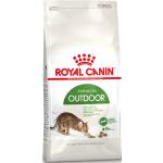 Royal Canin Outdoor Trockenfutter für Katzen 