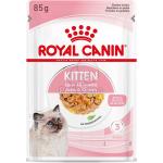 Royal Canin Kitten Katzenfutter 