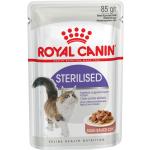 Royal Canin Sterilised Katzenfutter nass aus Eisen 