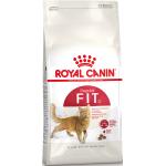 Royal Canin Fit Trockenfutter für Katzen 
