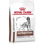 Reduziertes 15 kg Royal Canin Veterinary Diet Gastro Intestinal Hundefutter mit Reis 