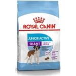 Royal Canin Giant Trockenfutter für Hunde 