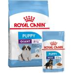 Reduziertes 5 kg Royal Canin Giant Welpenfutter 