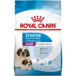 Reduzierte 15 kg Royal Canin Giant Trockenfutter für Hunde 