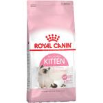 Royal Canin Kitten Katzenfutter aus Metall 