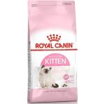 Royal Canin Kitten Trockenfutter für Katzen 