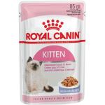 Royal Canin Kitten Katzenfutter nass 