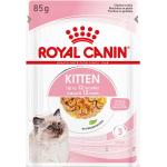 Black Friday Angebote Royal Canin Kitten Katzenfutter nass 