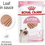 ROYAL CANIN KITTEN Nassfutter in Mousse für Kätzchen 12x85g