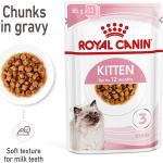 Reduziertes Royal Canin Kitten Katzenfutter nass 
