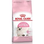 4 kg Royal Canin Kitten Trockenfutter für Hunde 