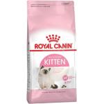 Royal Canin Kitten Trockenfutter für Hunde 