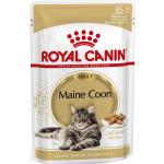 Royal Canin Maine Coon Katzenfutter nass 