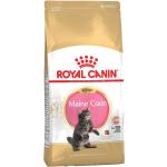 Royal Canin Maine Coon Trockenfutter für Katzen 