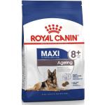 3 kg Royal Canin Maxi Hundefutter 
