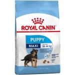 1 kg Royal Canin Maxi Trockenfutter für Hunde 