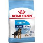 15 kg Royal Canin Maxi Trockenfutter für Hunde 
