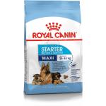 4 kg Royal Canin Maxi Hundefutter 