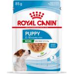 10 kg Royal Canin Mini Hundefutter nass 
