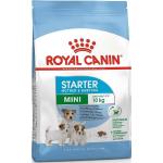 8 kg Royal Canin Mini Trockenfutter für Hunde 