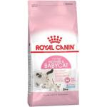 Royal Canin Mother & Babycat Trockenfutter für Hunde 