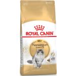 Royal Canin Adult Trockenfutter für Katzen 