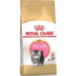 Royal Canin Kitten Trockenfutter für Katzen 