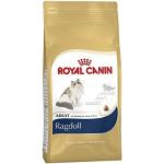 Royal Canin Breed Trockenfutter für Katzen mit Reis 