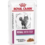 Reduziertes Royal Canin Veterinary Diet Renal Katzenfutter aus Eisen mit Huhn 