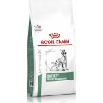 Reduziertes 6 kg Royal Canin Veterinary Diet Satiety Hundefutter aus Eisen 