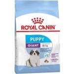 1 kg Royal Canin Giant Trockenfutter für Hunde 