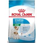 10 kg Royal Canin Mini Hundefutter mit Reis 