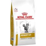 Reduziertes 5 kg Royal Canin Veterinary Diet Urinary Hundefutter aus Eisen mit Reis 